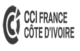 Logo CCI-France